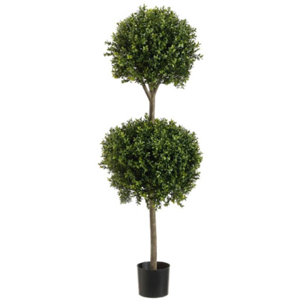 4&#39;Dbl Ball Boxwood Top.(P)Grtt 