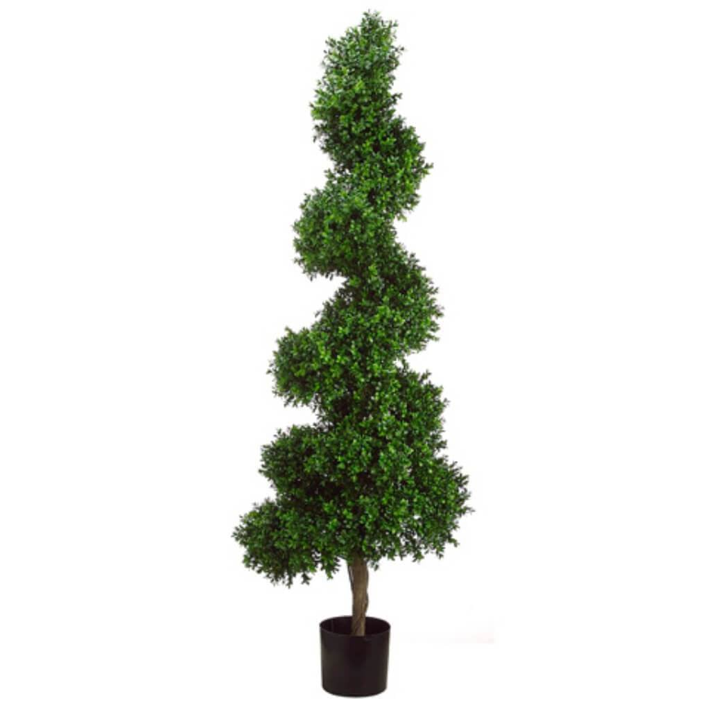 5.5'Spi.Boxwood Topiary(P)Grtt 