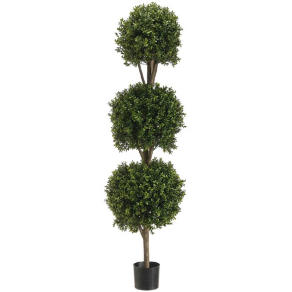 5'Tri Ball Boxwood Top.(P)Grtt 