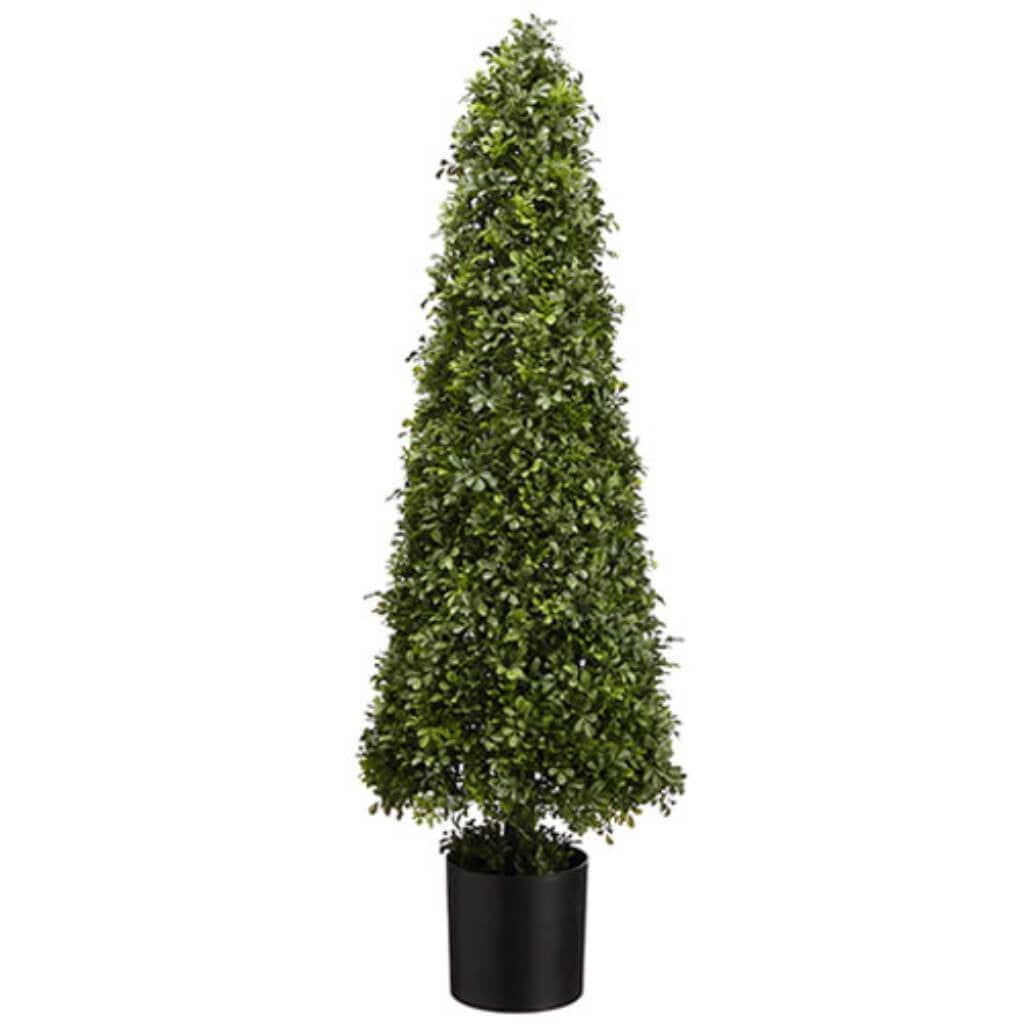 49"Boxwood Cone Topiary (P) Gr 