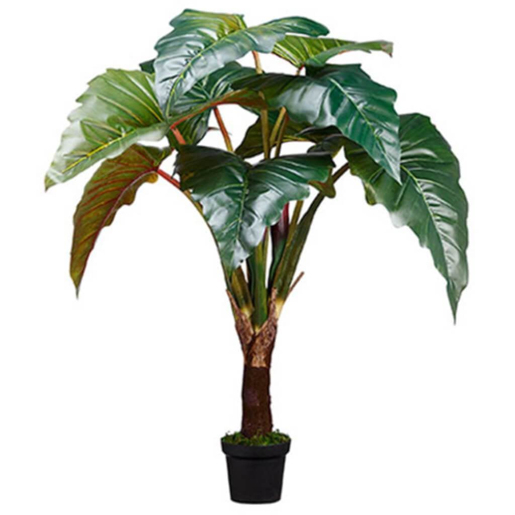 58&quot;Philod Red Prince In Pot(Kd 