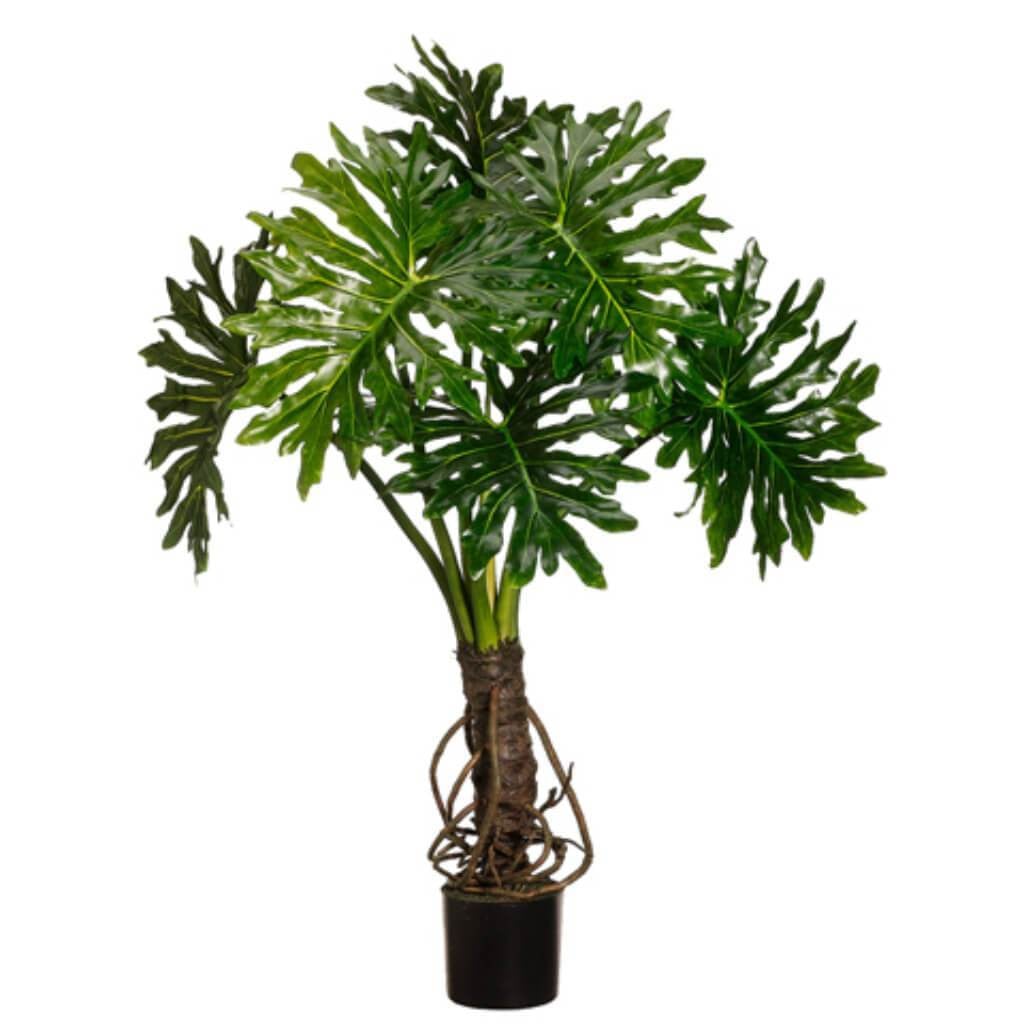 4'Outdoor Plume Split Lf 6L(P) 