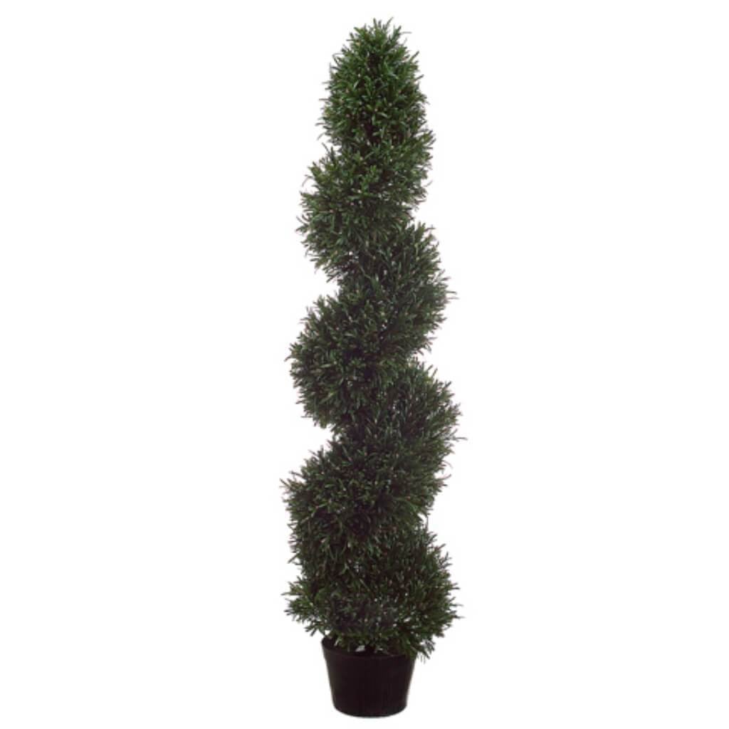 4'Rosemary Spiral Top.(P)Gr 