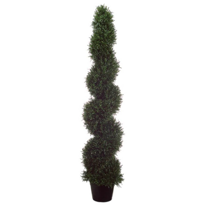 5'Rosemary Spiral Top.(P)Gr 