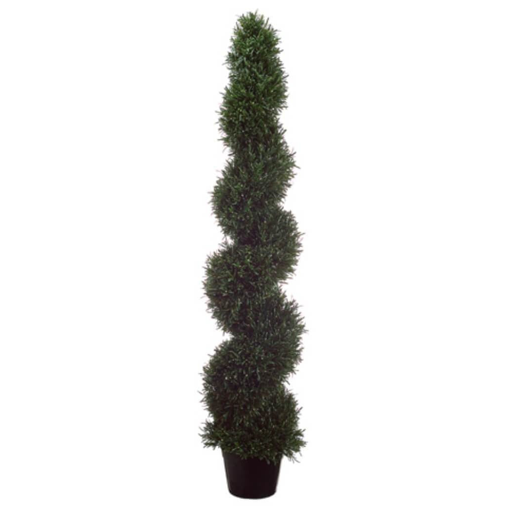5'Rosemary Spiral Top.(P)Gr 