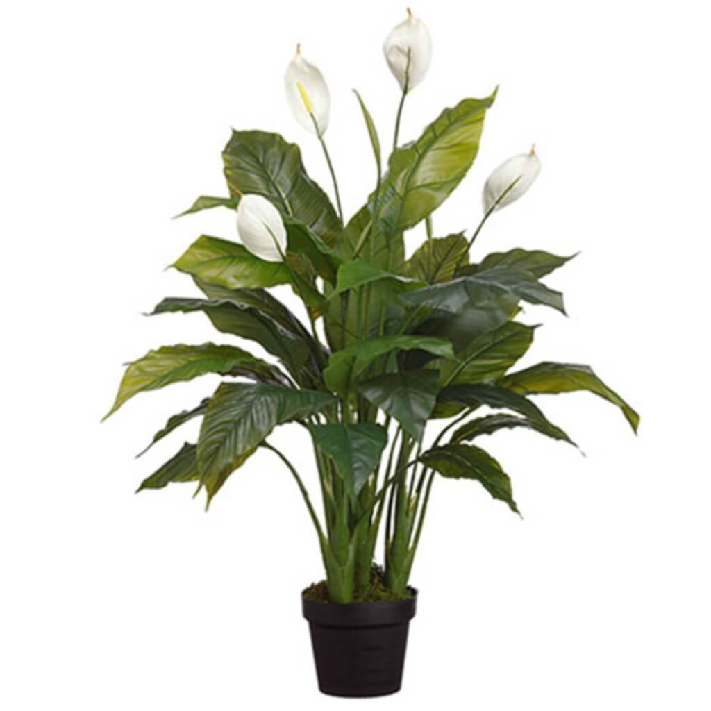 42"Spathiphyllum Plant In Pot 