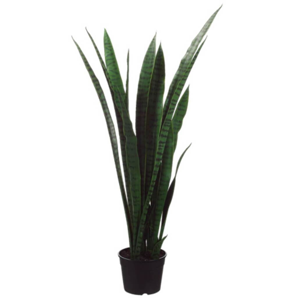 44&quot;Sansevieria Plant(P)Gr/Tt 