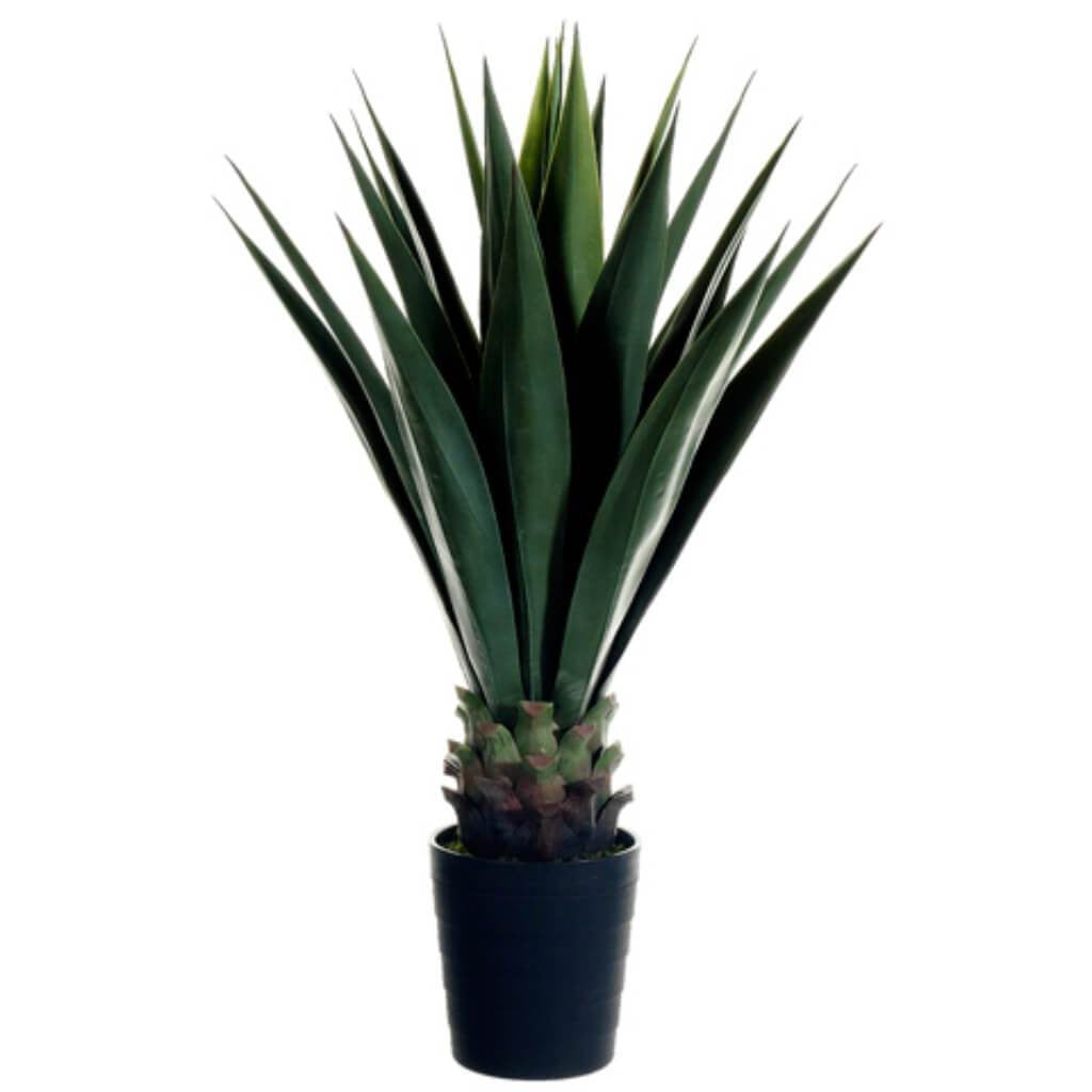 41"Sisal Plant In Pot Gr 