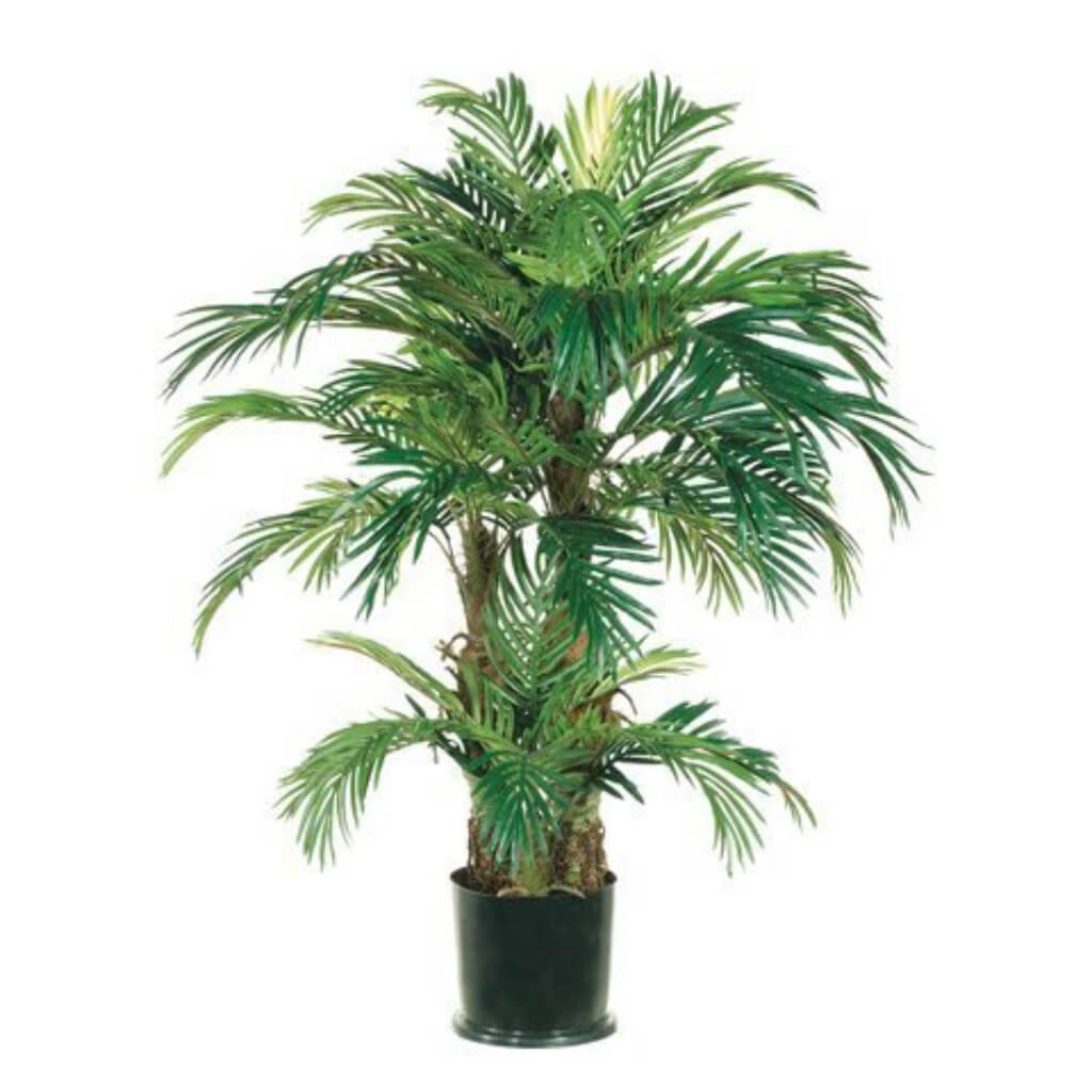 Palm Tree Pot Phoenix 4ft Green