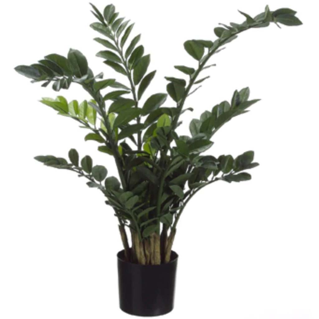 42"Zamioculcas Plant In Pot Gr 