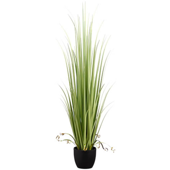 60"Reed Grass In Pot Gr/Lt 
