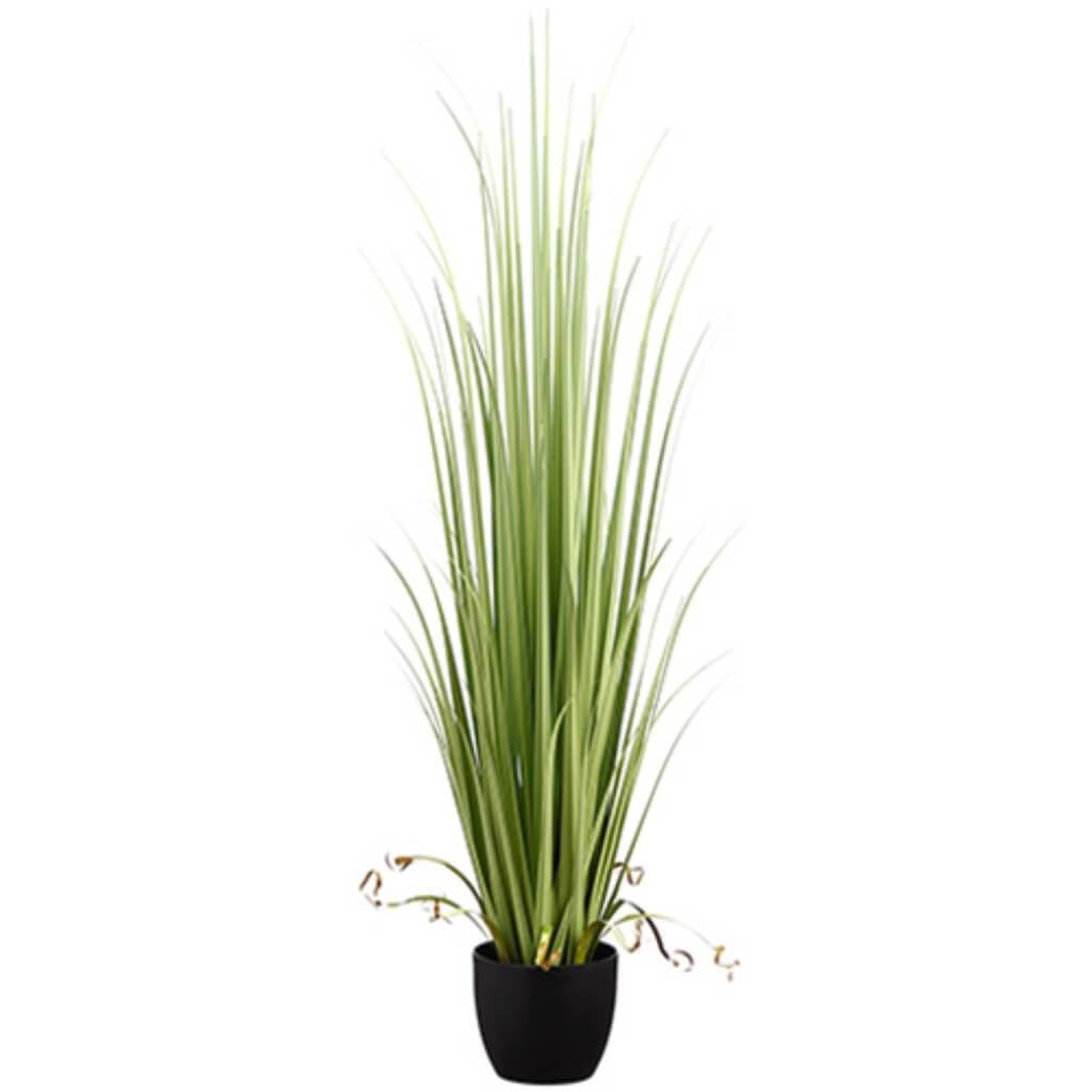 60"Reed Grass In Pot Gr/Lt 