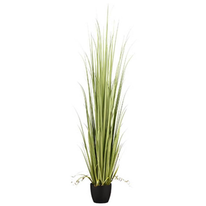 84"Reed Grass In Pot Gr/Lt 