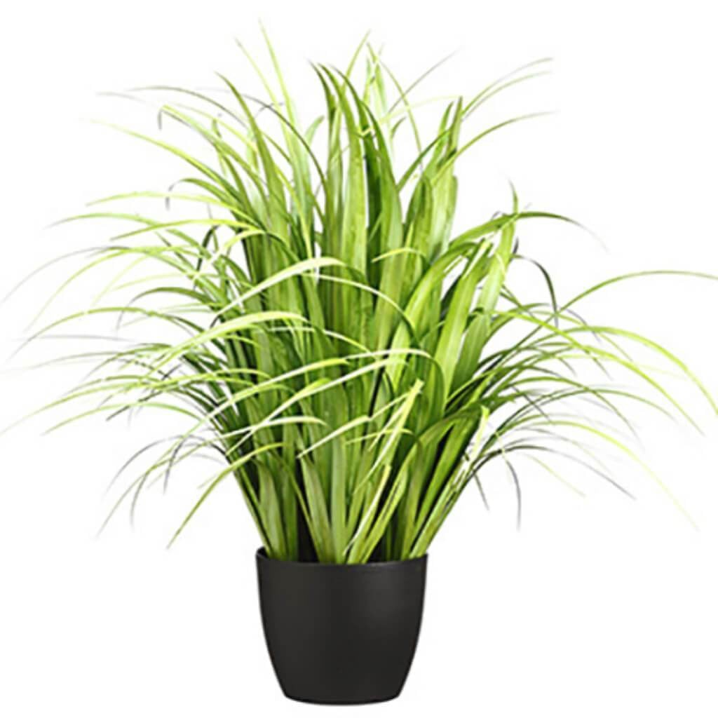 38"Reed Grass In Pot Gr/Lt 
