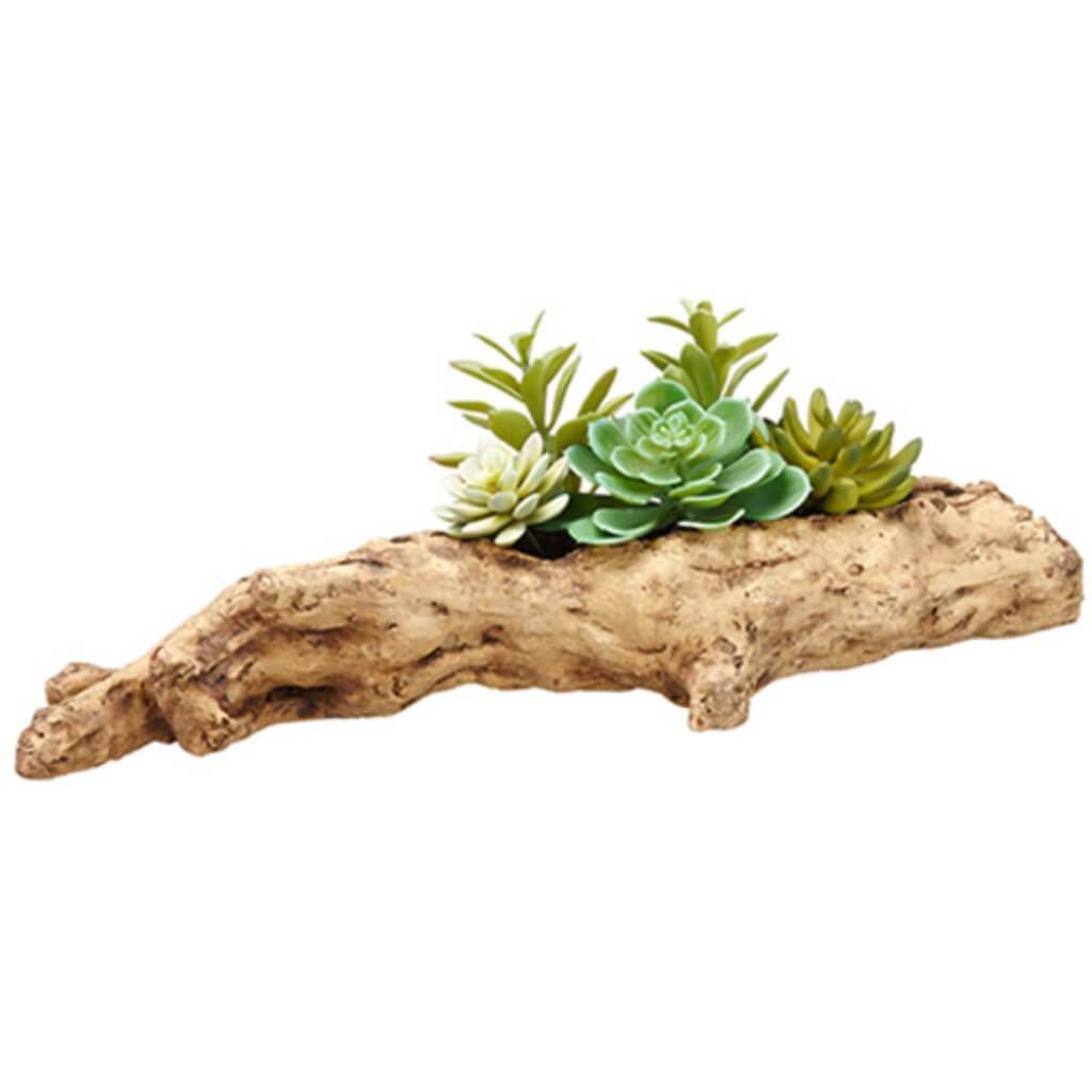 6.5"Succulent Garden Faux Wood 