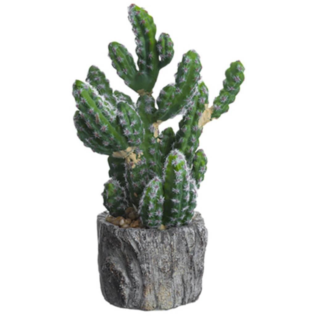 8.5&quot;Cactus In Cement Planter 