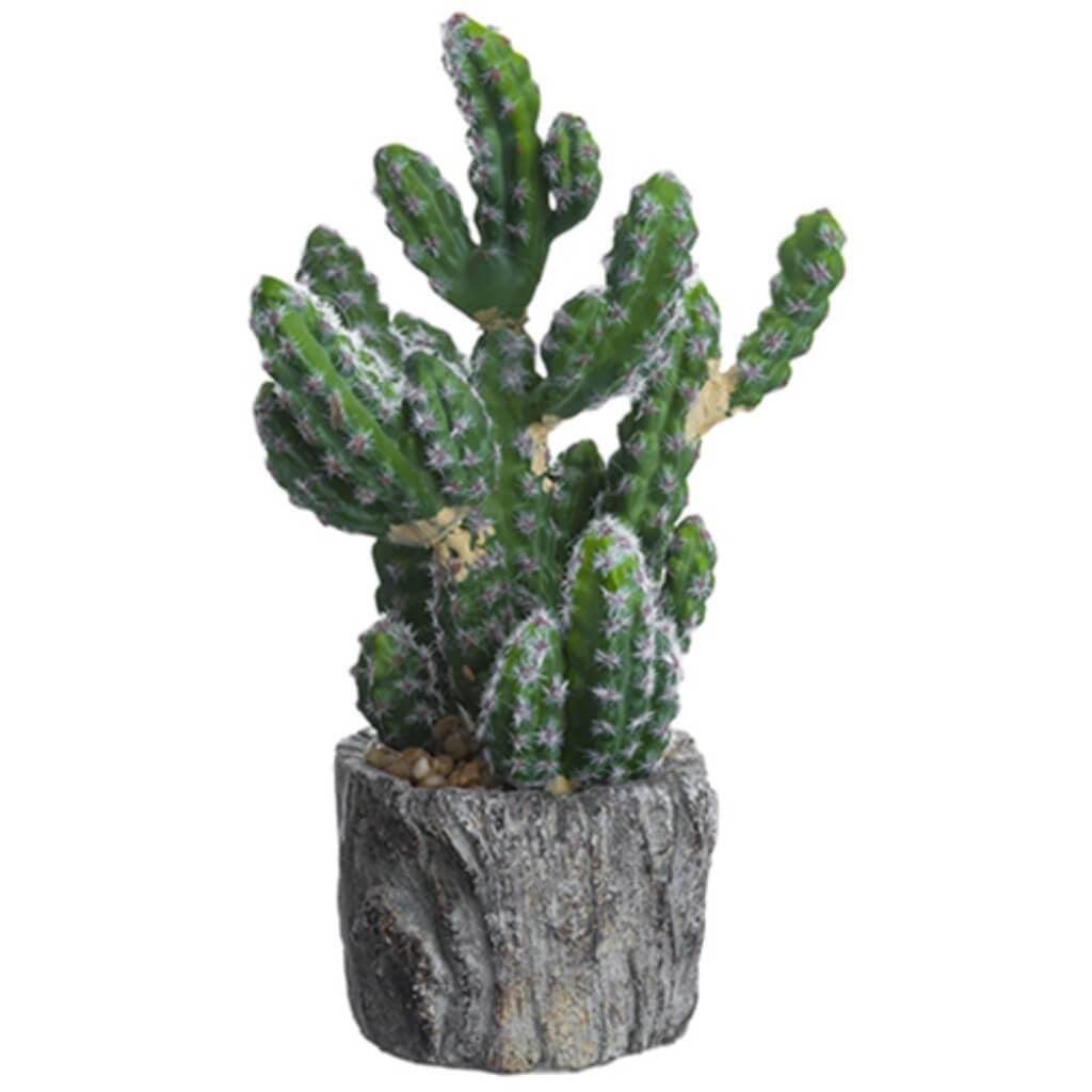 8.5"Cactus In Cement Planter 