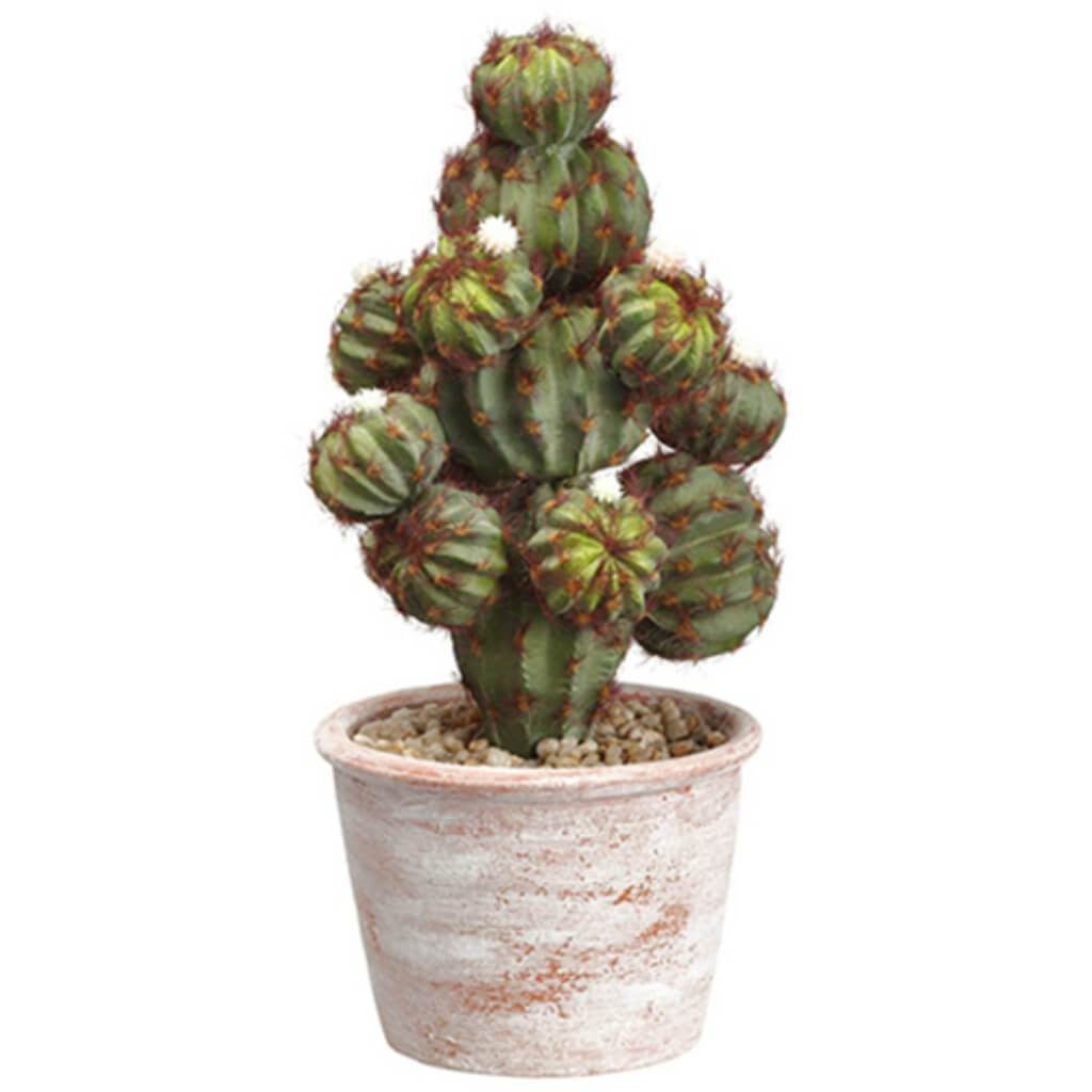 12.5"Barrel Cactus In P/M Pot 