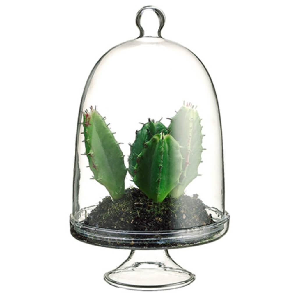 5.5&quot;Cactus In Glass Terrarium 