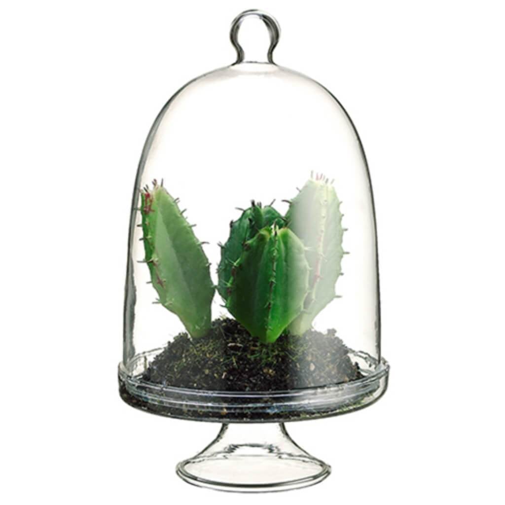 5.5"Cactus In Glass Terrarium 