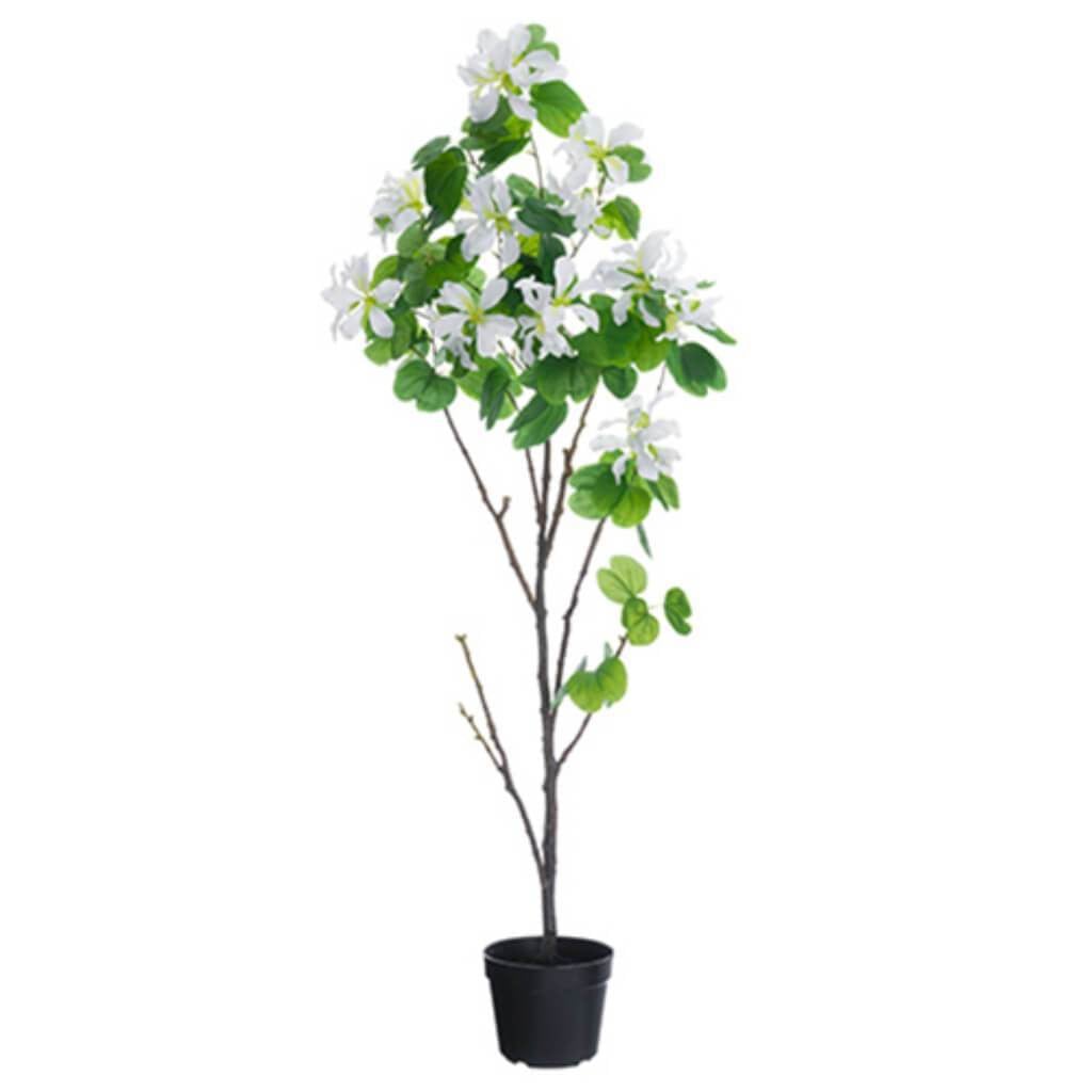 66&quot;Bauhinia Tree In Pot Wh 