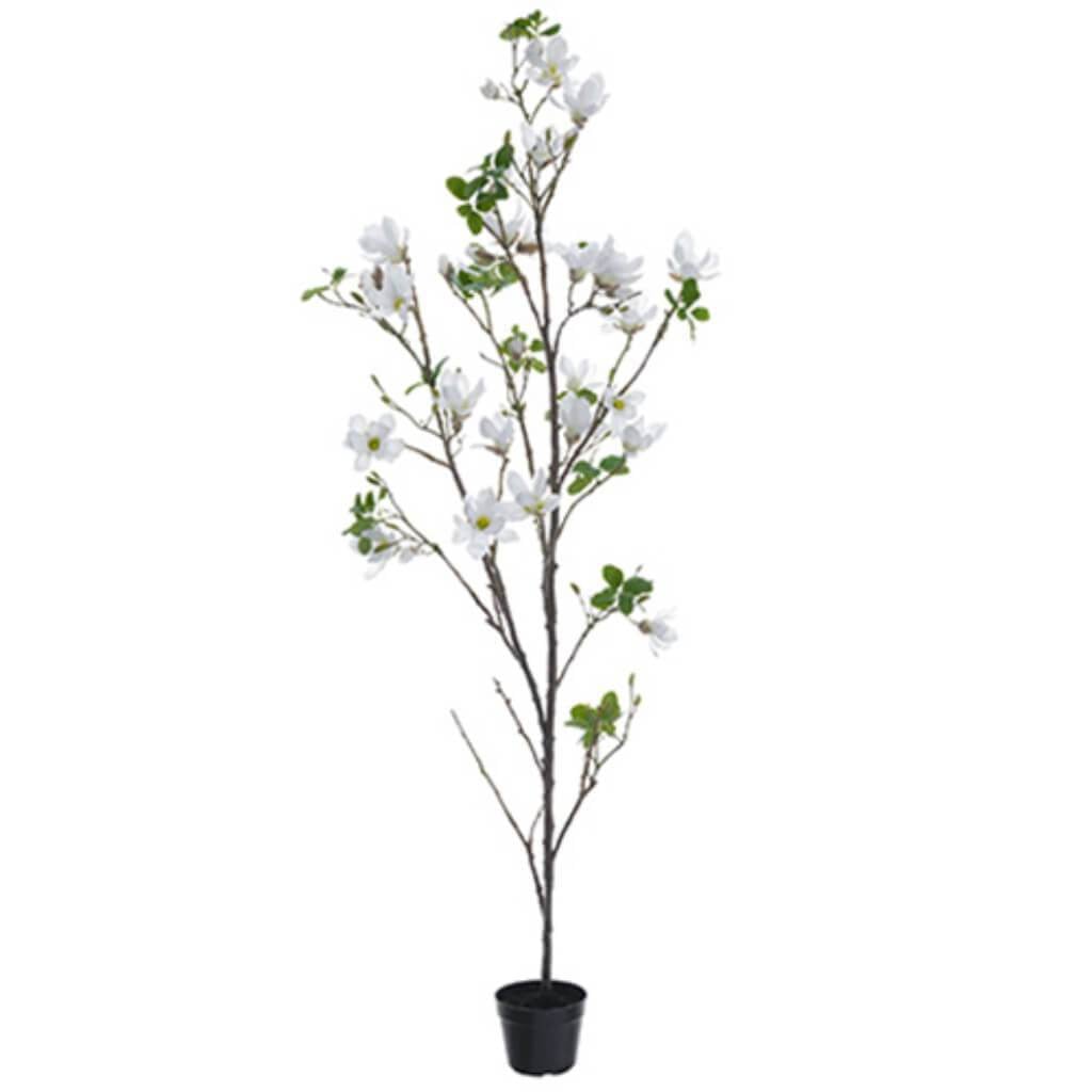 96&quot;Magnolia Tree In Pot Wh 