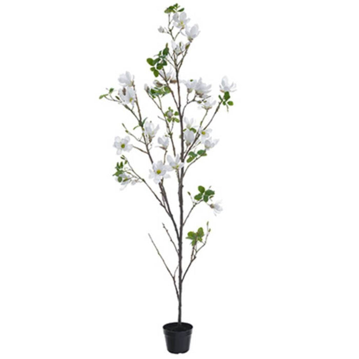 96"Magnolia Tree In Pot Wh 