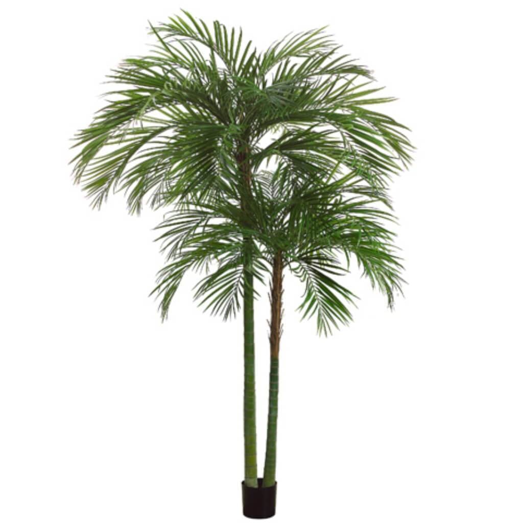 7&#39;Areca Palm Tree X2 1692L(P) 