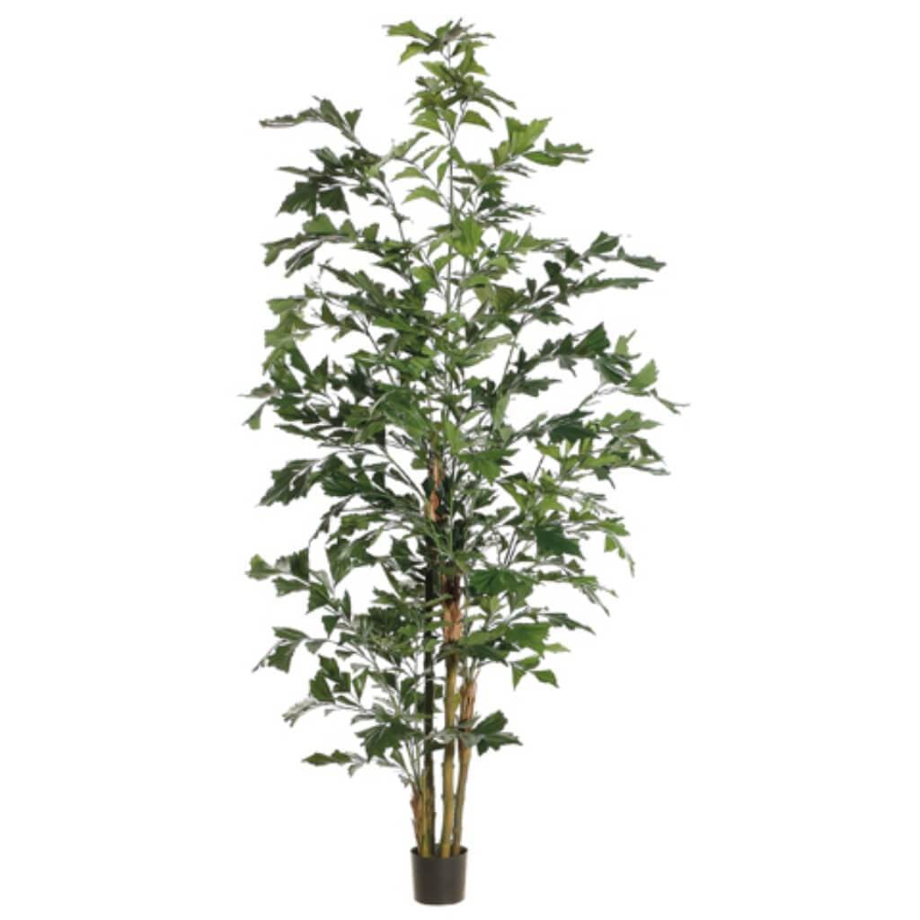 8'Fly Fishtail Palm Tree (P)Gr 