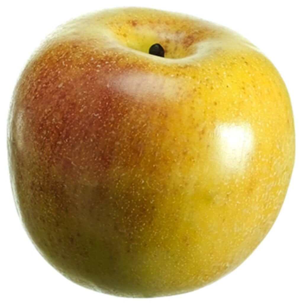 3.25&quot;Weighted Gala Apple Re/Gr 