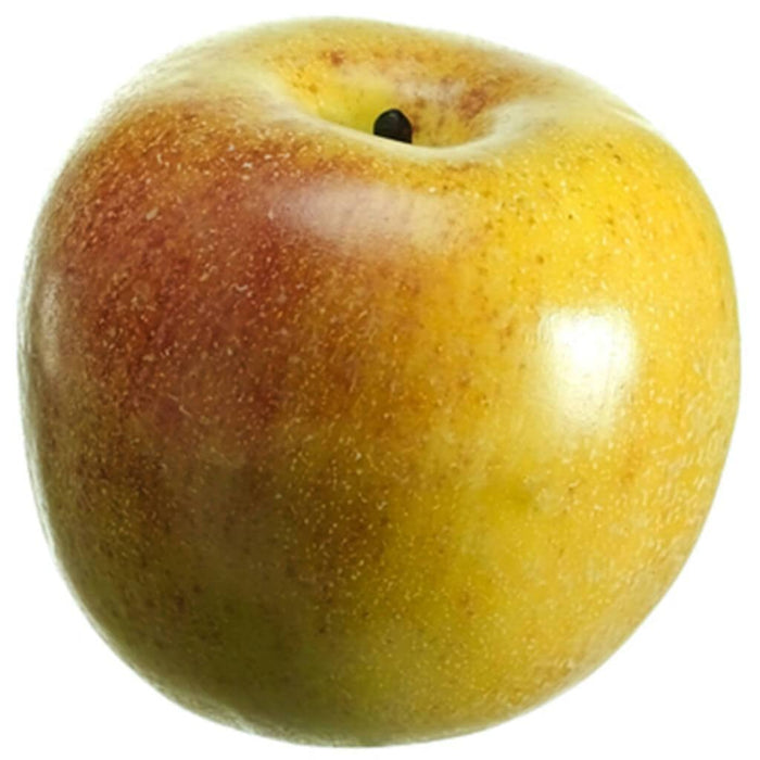 3.25"Weighted Gala Apple Re/Gr 