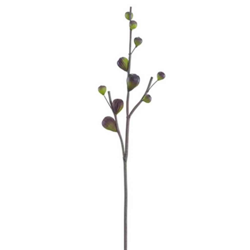 30"Fig Branch Pl/Gr 