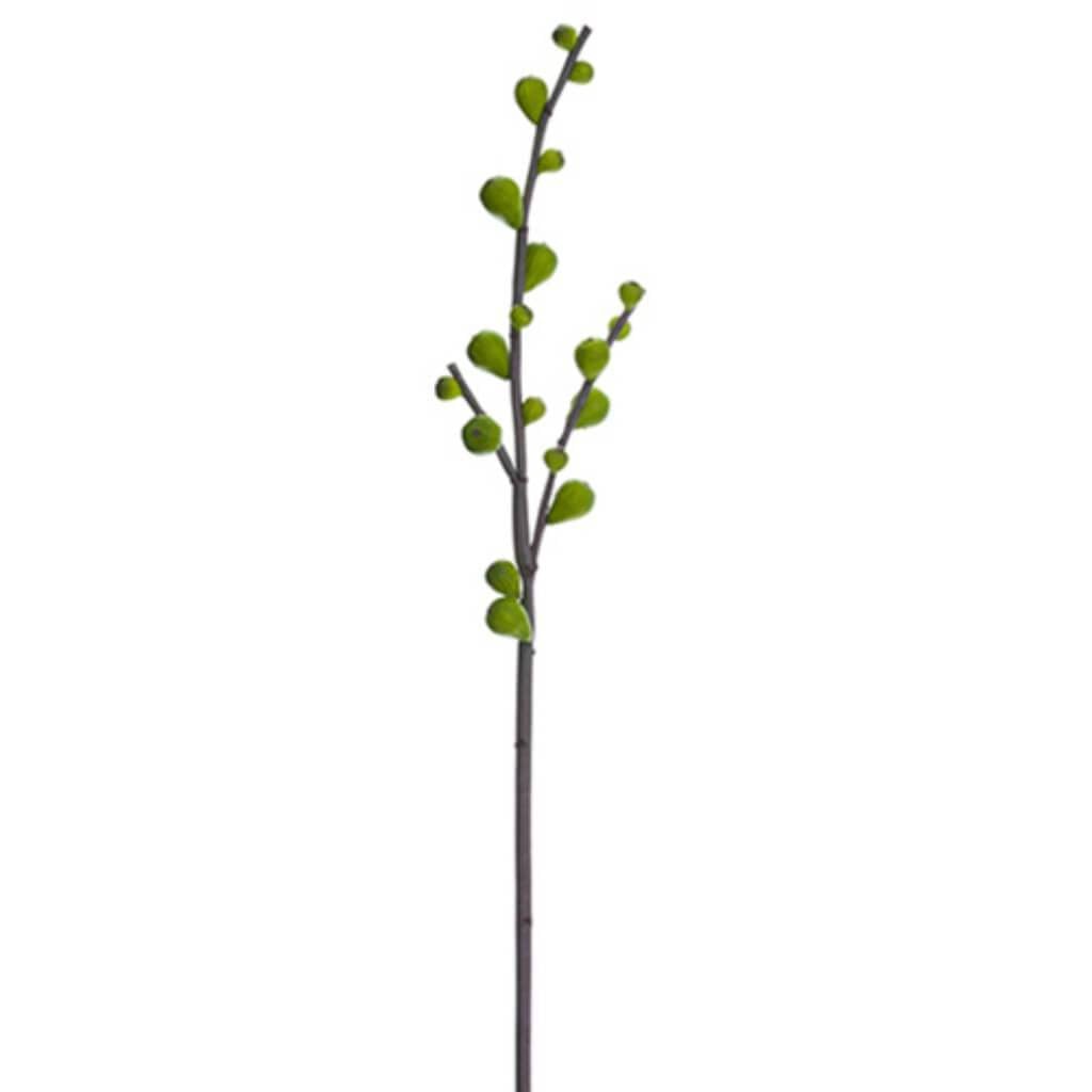 53"Fig Branch Gr 