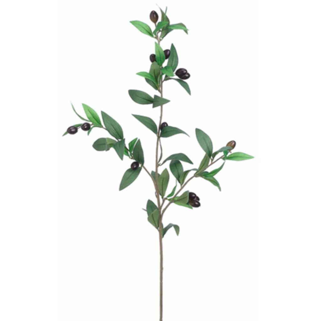 31.5"Olive Branch Gr/Bu 
