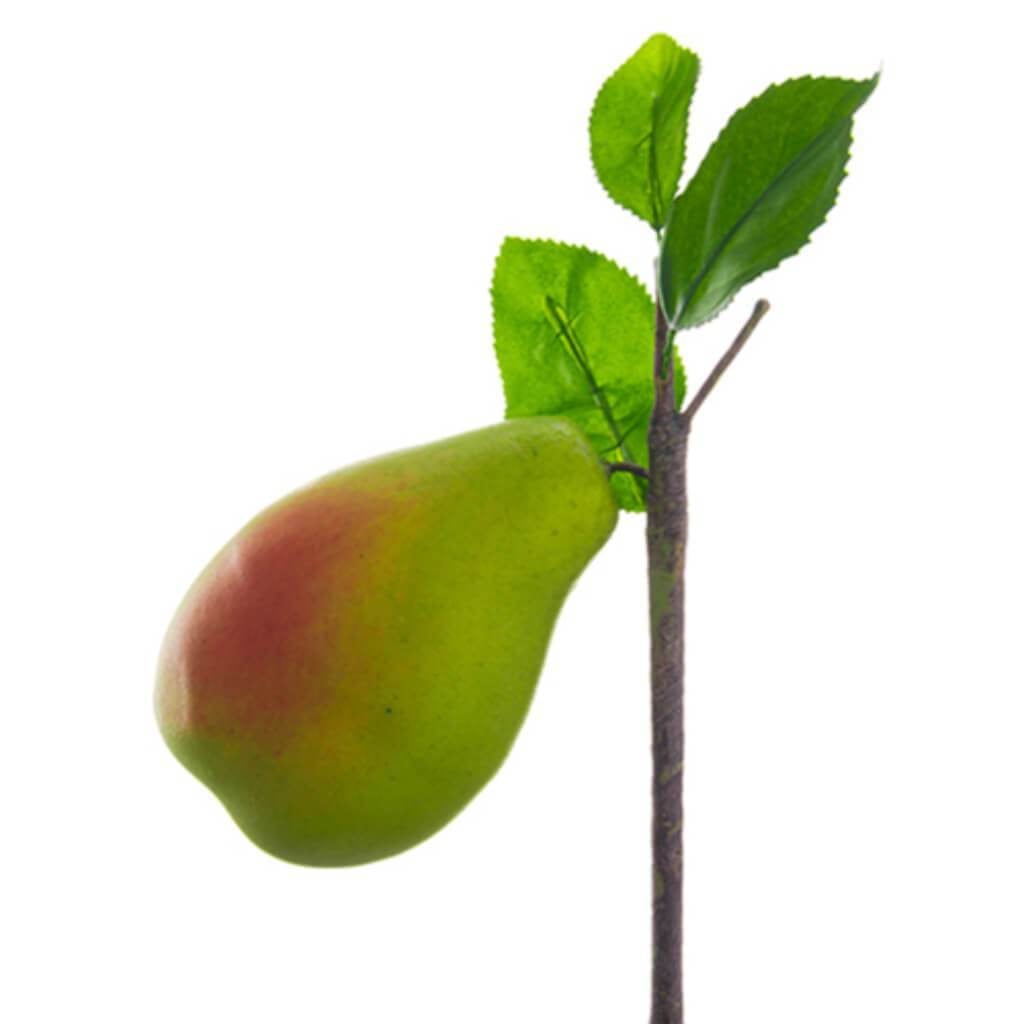 4"Pear W/Branch Gr 