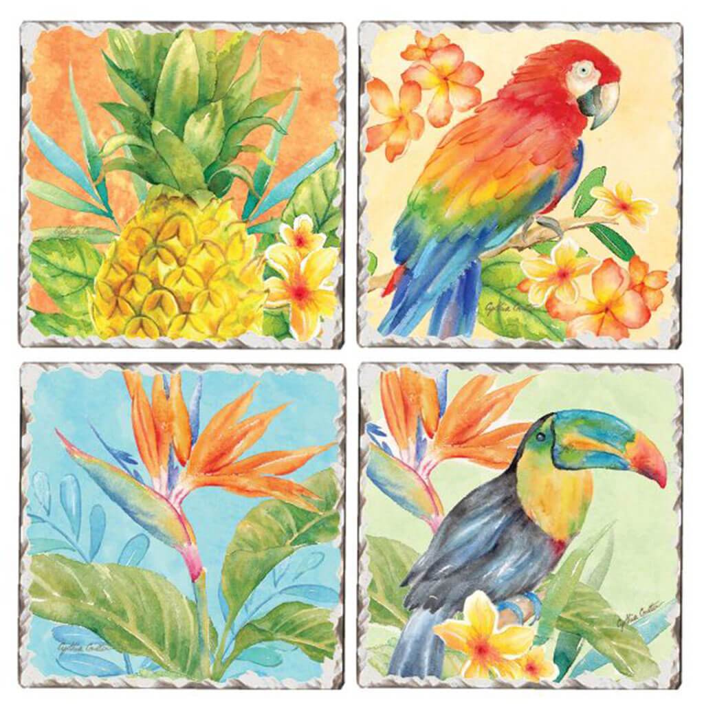 Tumbled Tile Tropical Birds Assorted