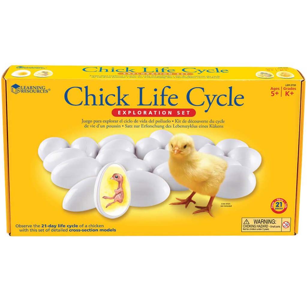 Chick Life Cycle Exploration Set 