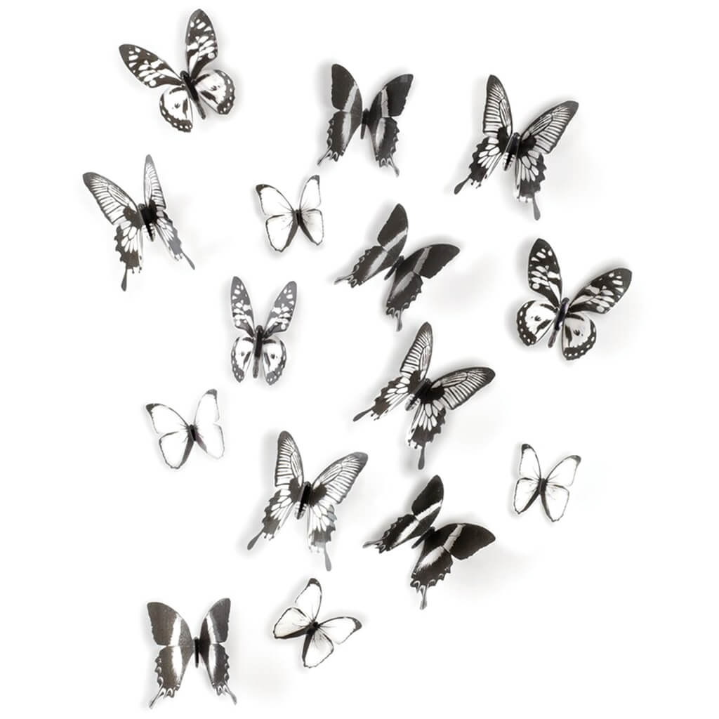 Chrysalis Wall Decoration Black-Clear