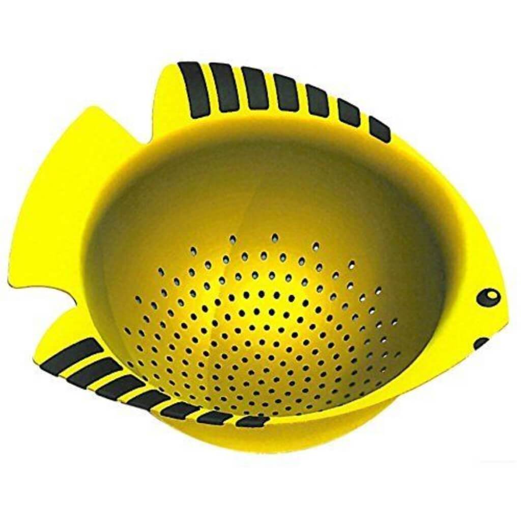 COLANDER ANGELFISH 