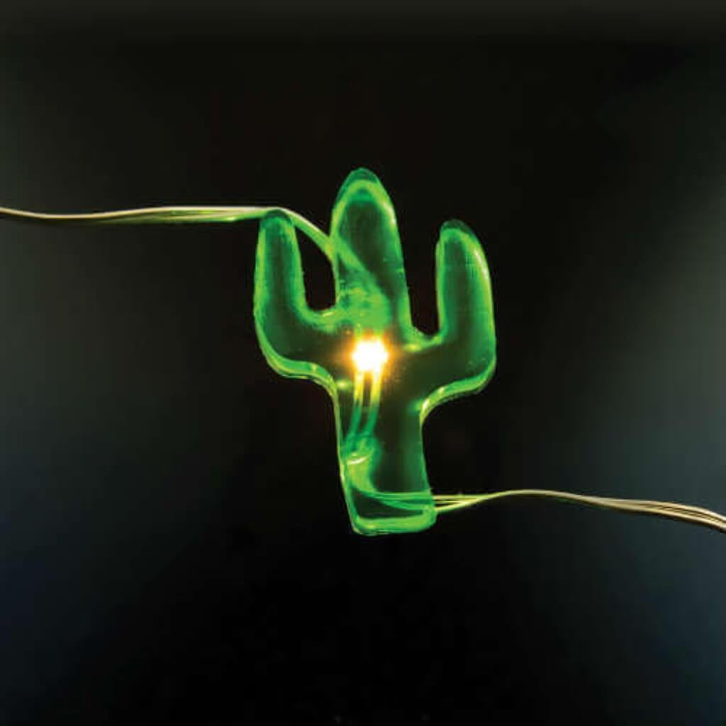 30 LED CACTUS 10FT 