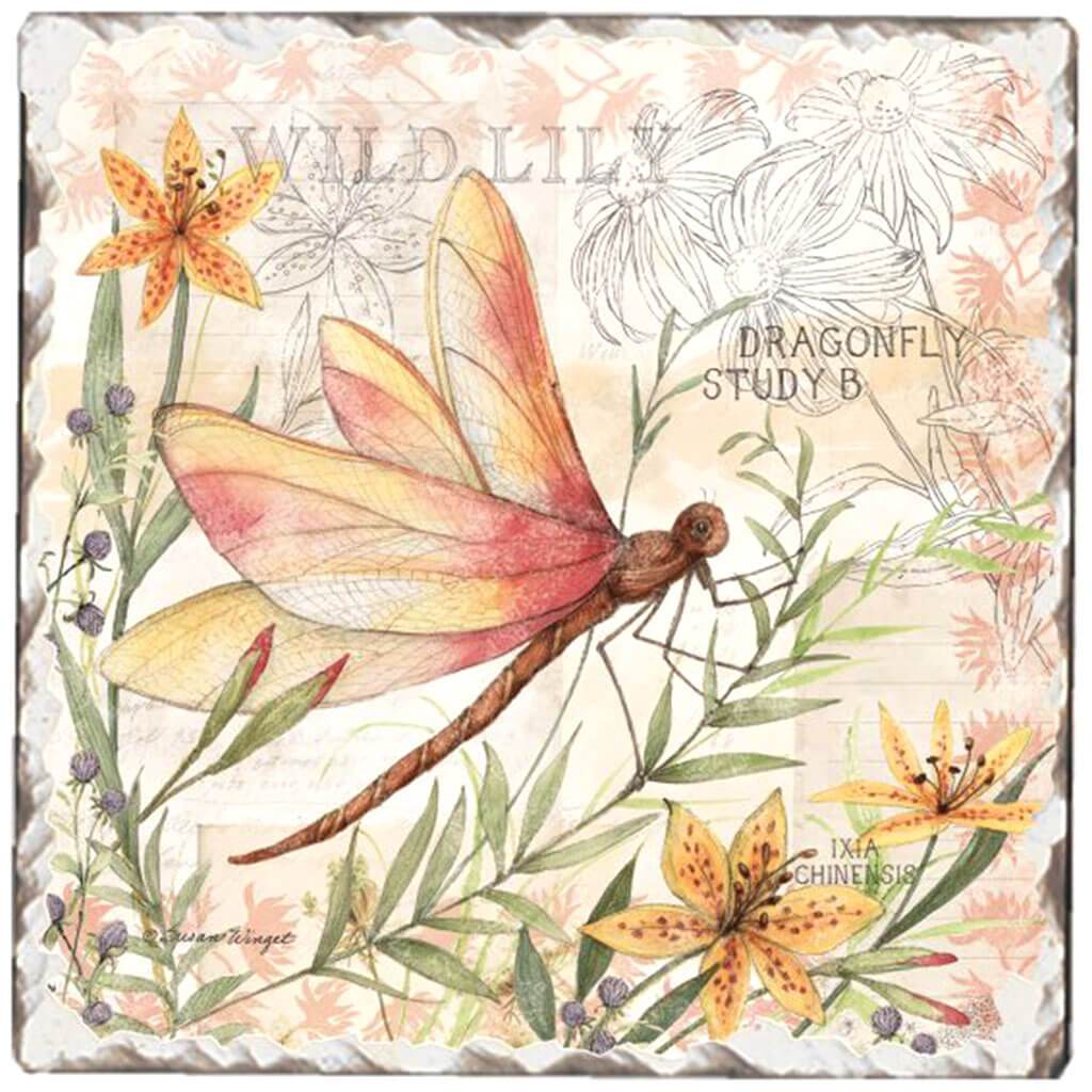 Tumbled Tile Dragonfly Study