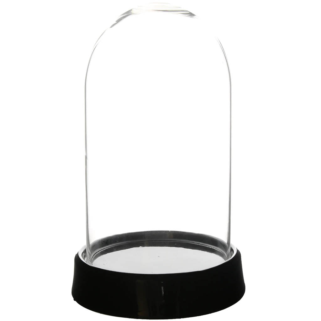 Clear Small Glass Dome With Black Base, 7in x 10in