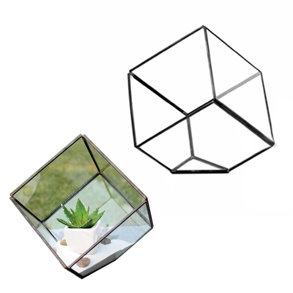 GEOMETRIC GLASS TERRARIUM HEPTAHEDRON, TILTED CUBE,FRAME BLACK 