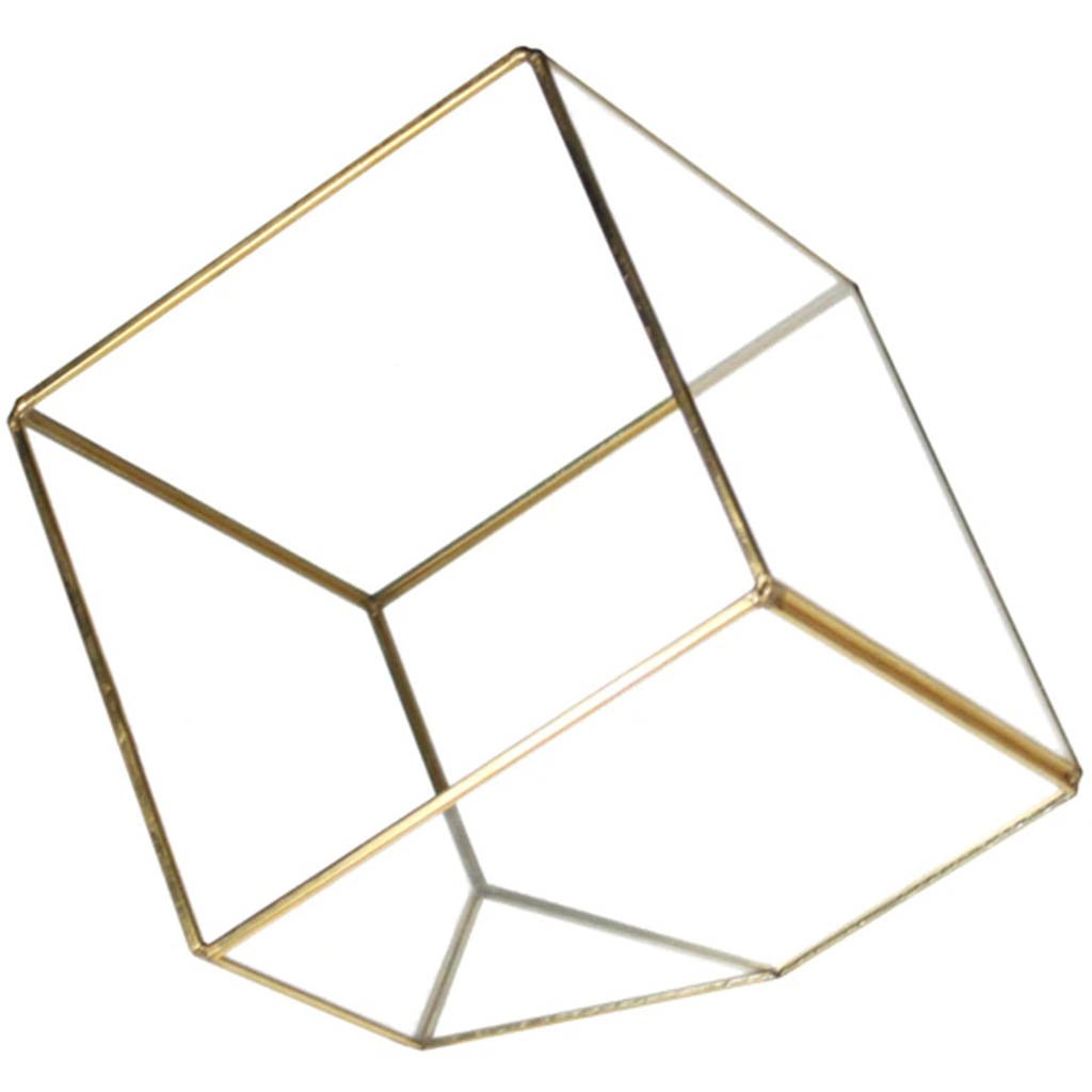 Gold Tilted Cube Geometric Glass Terrarium. H8.5in X L8.5in X W8.5in