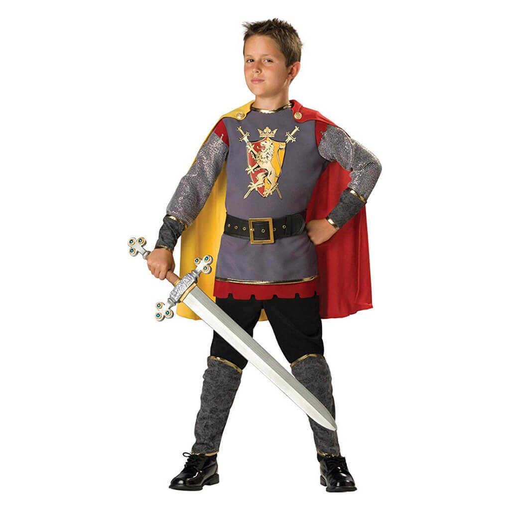 Loyal Knight Costume