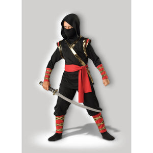 Ninja Assassin Costume