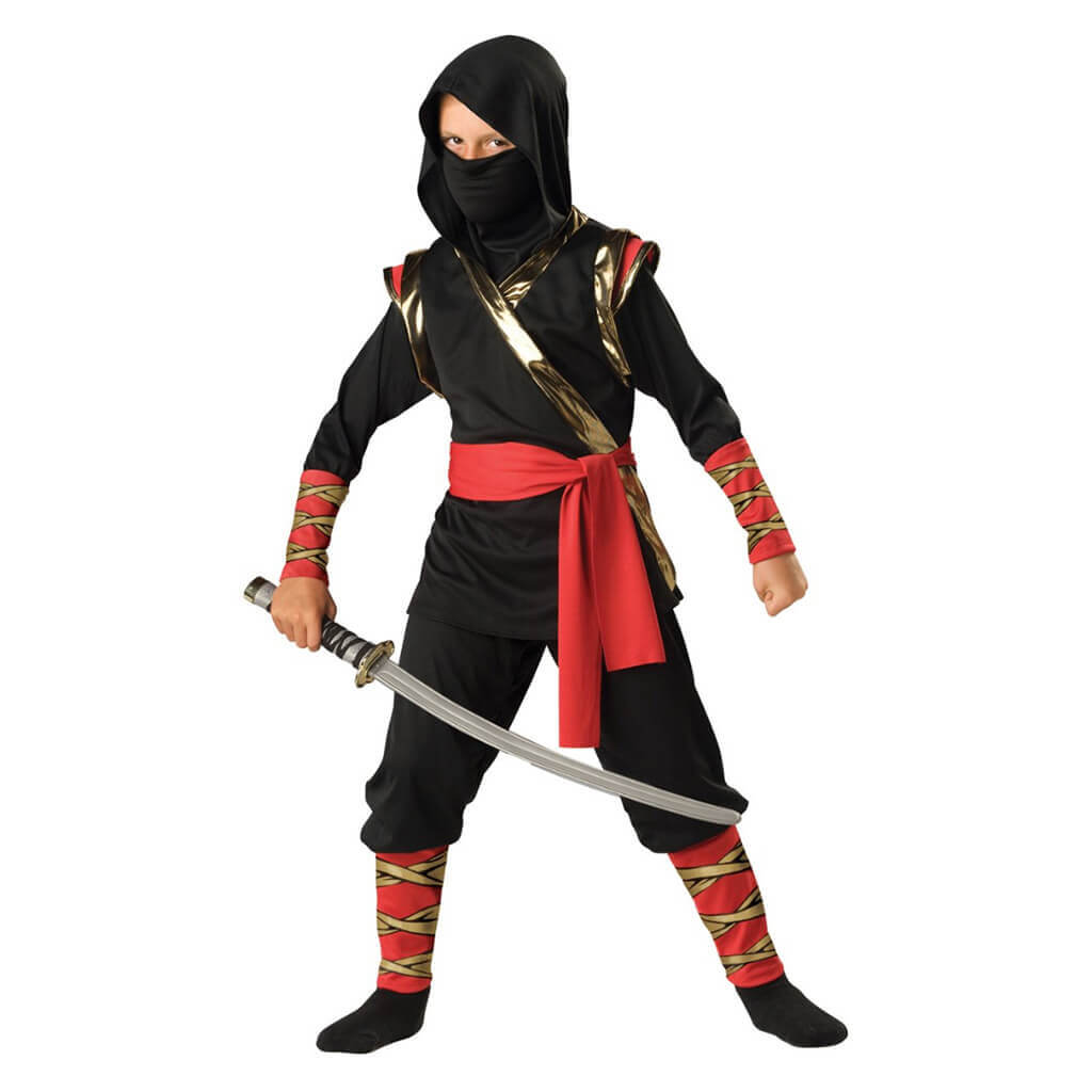 Ninja Assassin Costume