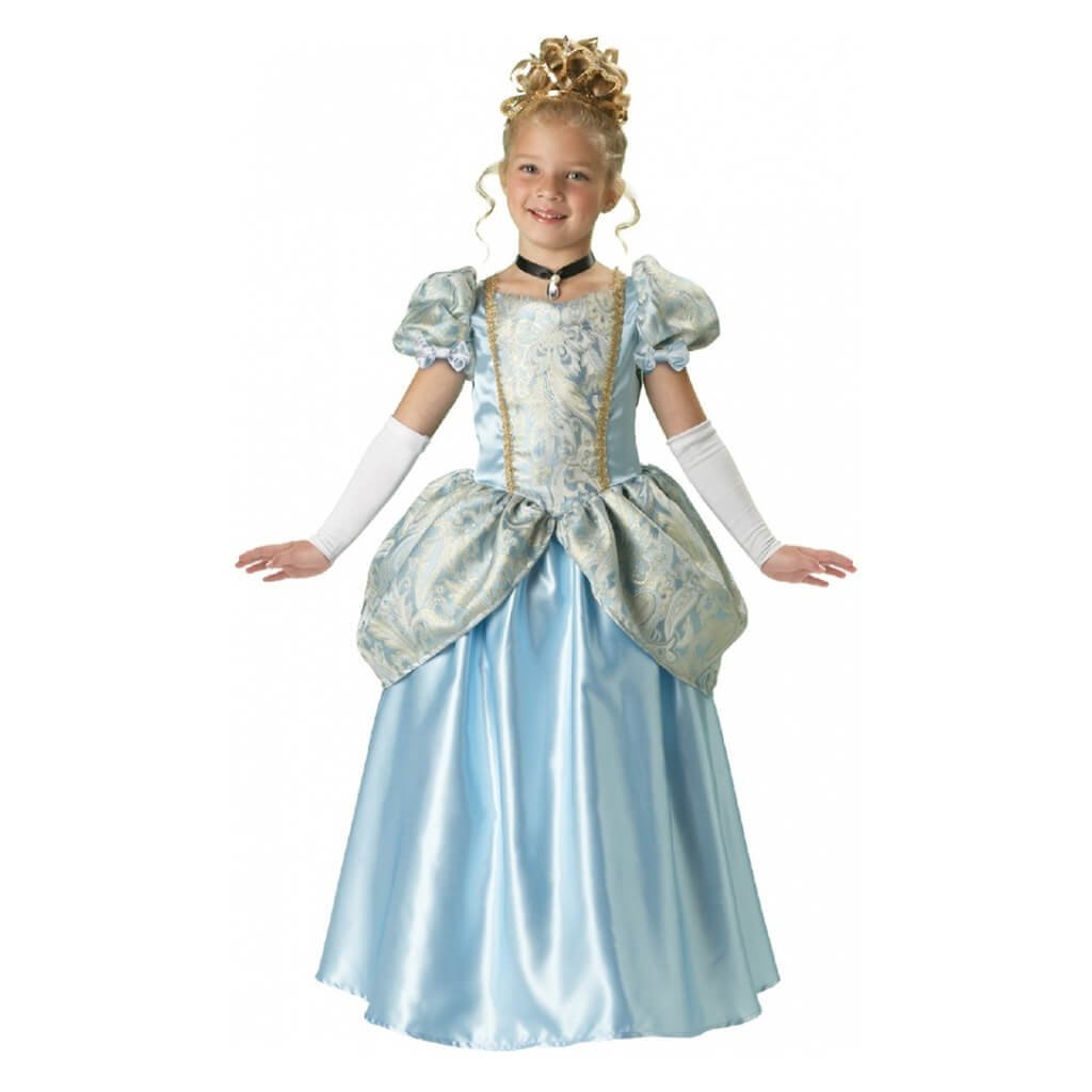 Enchanting Princess Costume