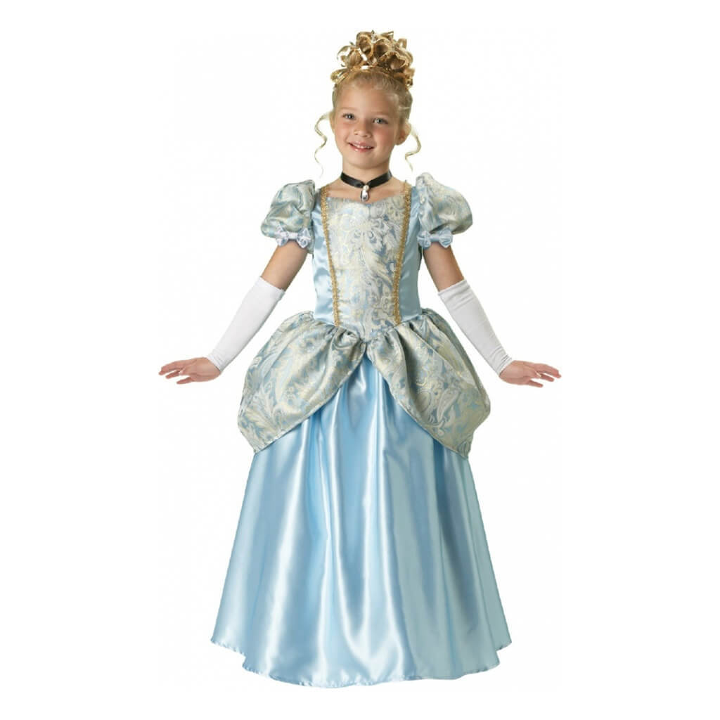 Enchanting Princess Costume