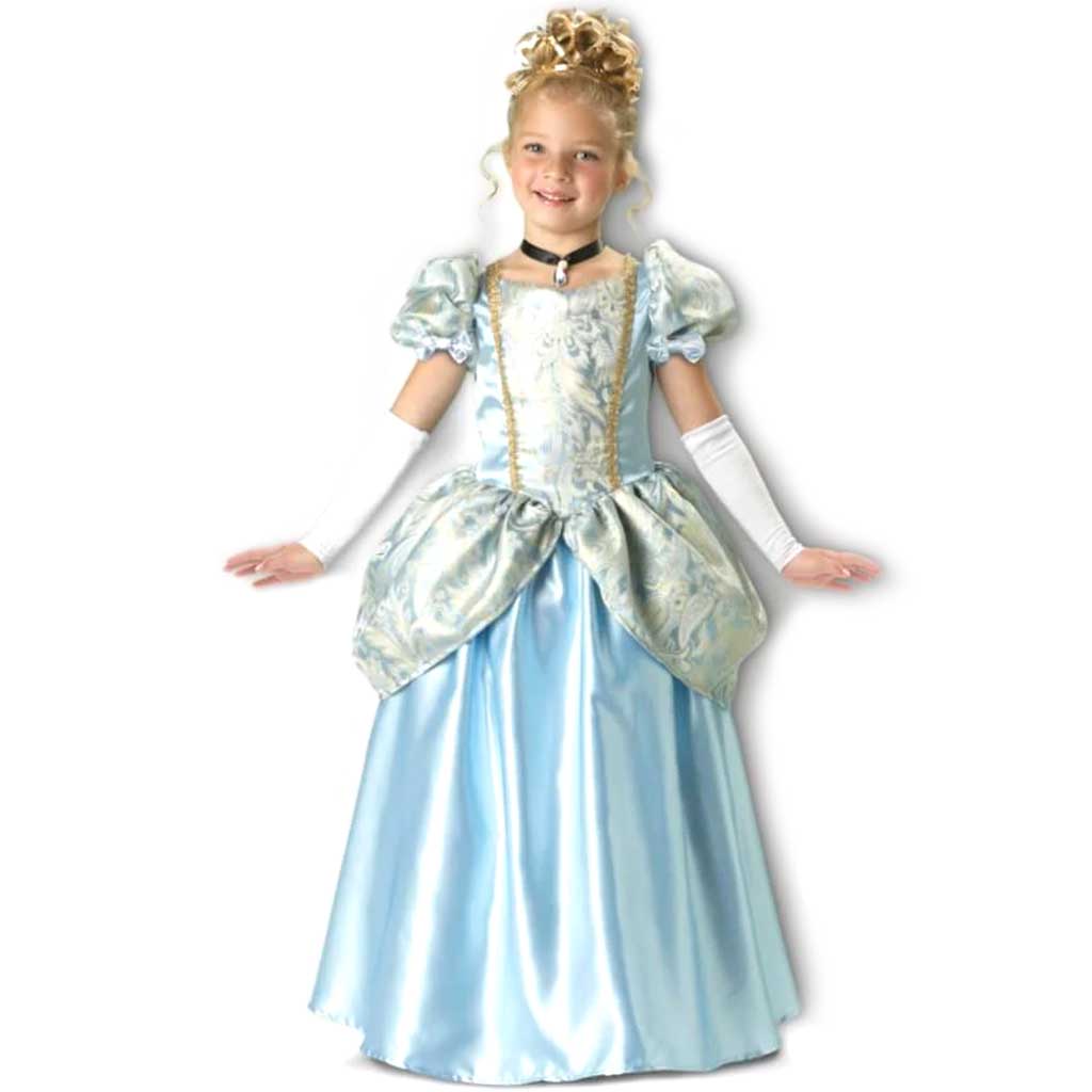 Enchanting Princess Costume